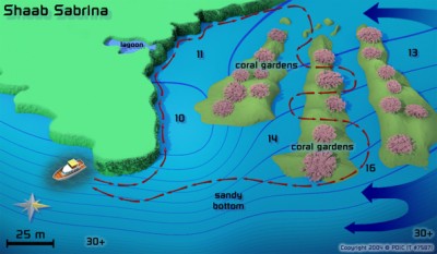 Drift dive la Shaab Sabrina Reef - Hurghada - Egipt.